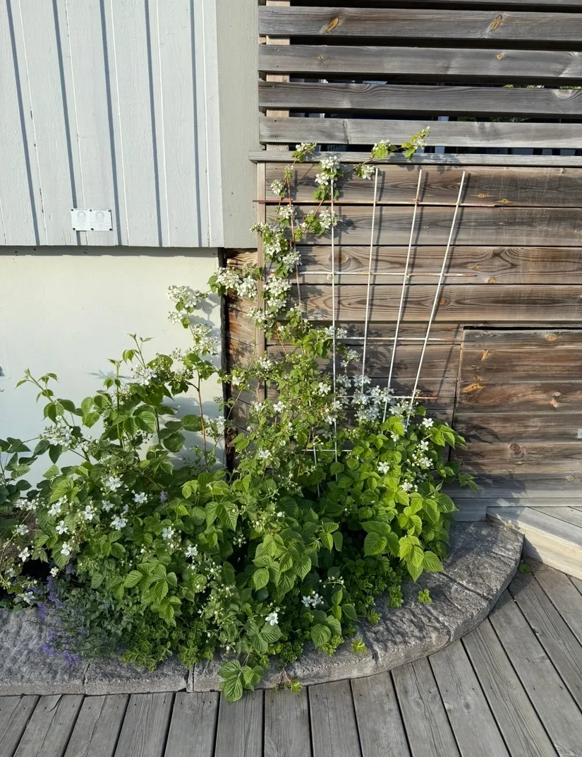 Villa, Gränsvägen 45, Spånga Solhem, Stockholm