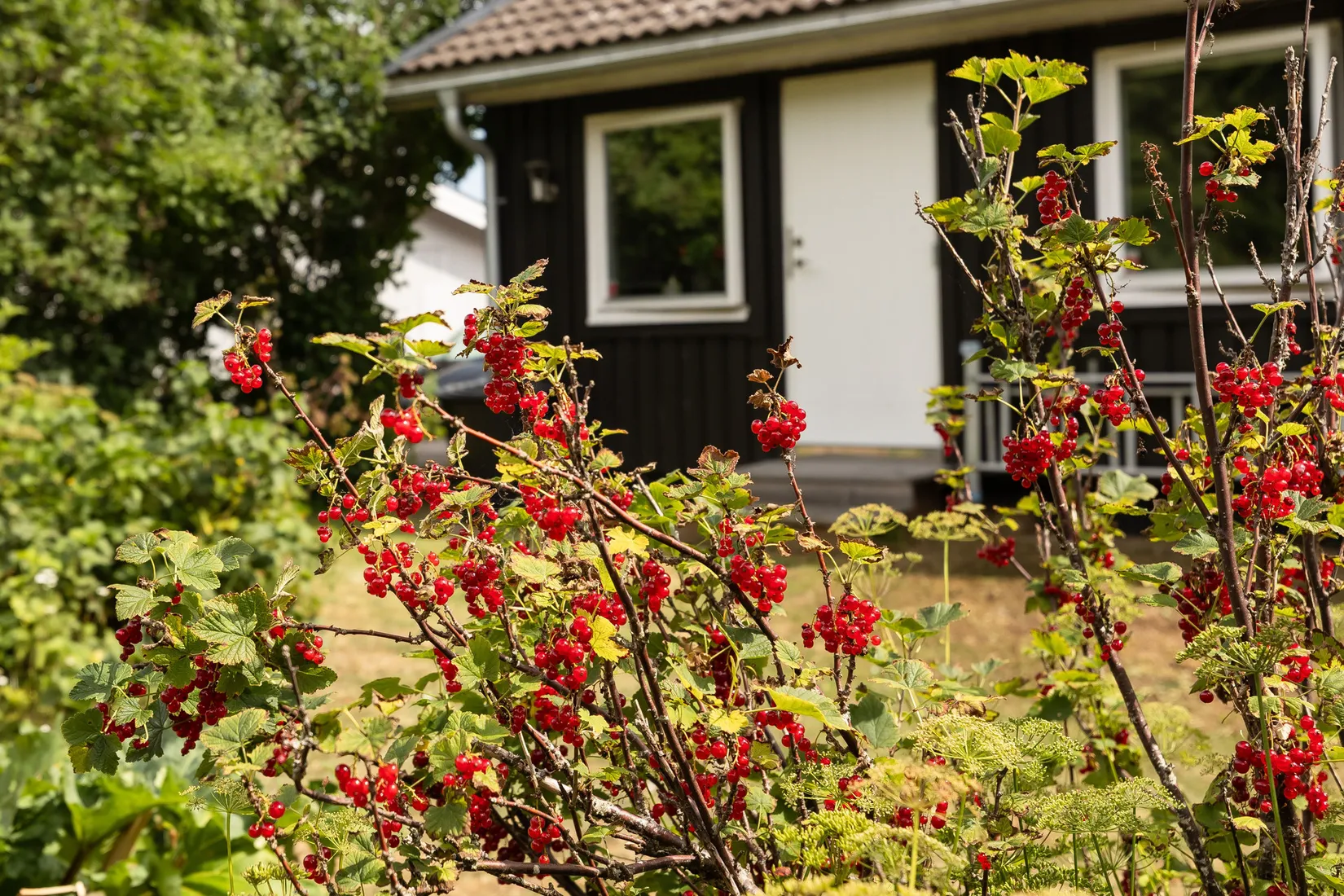 Villa, Stättevägen 5, Smedby, Kalmar