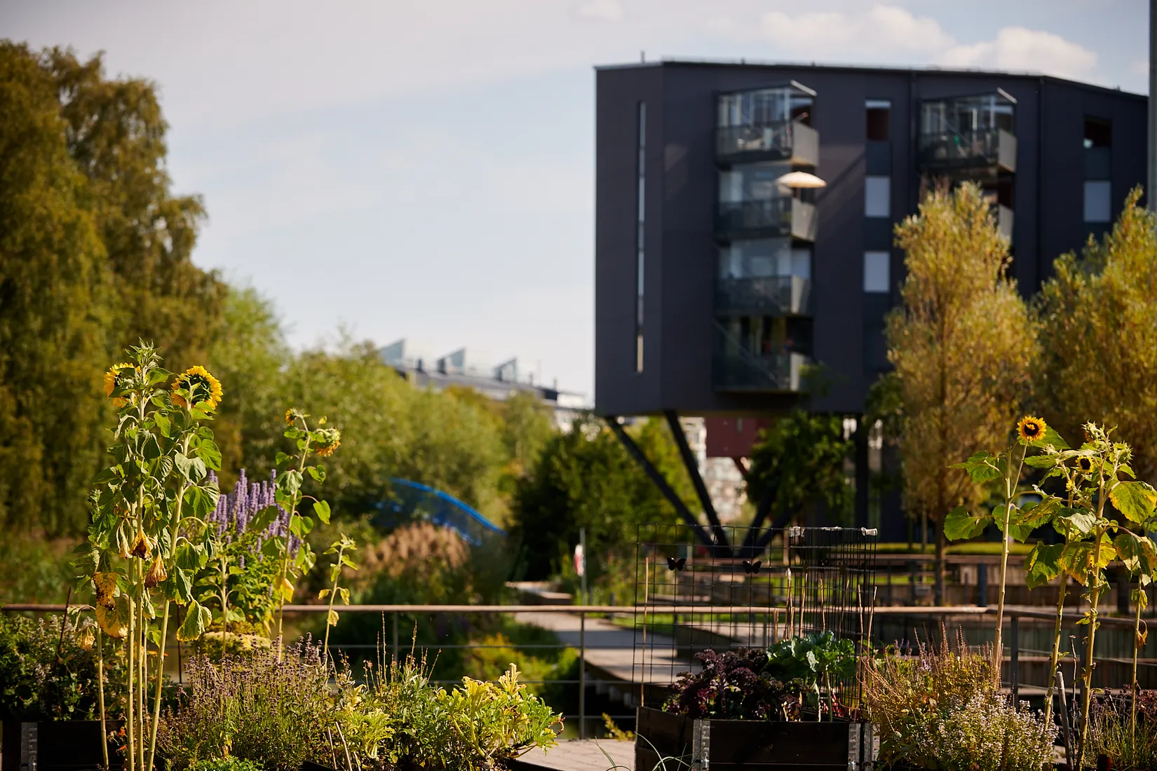 Bostadsrätt, Krakel Spektakels gata 1, Bromma - Annedal, Stockholm