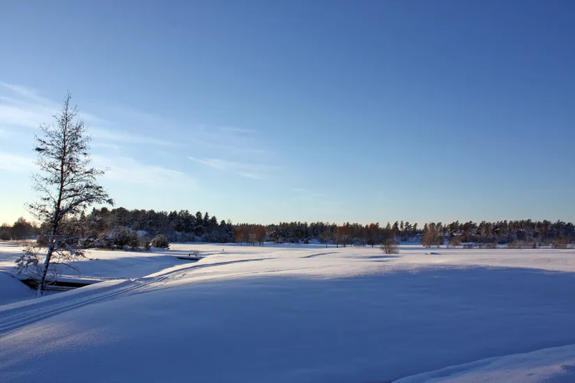 Tomt, Granens väg 2, Burvik, Uppsala