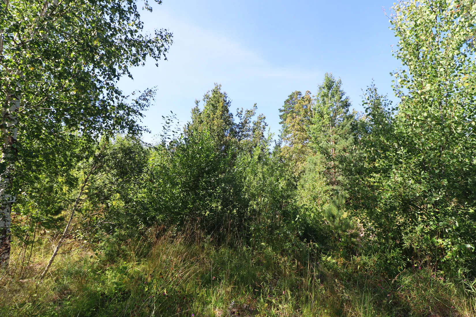Tomt, Granens väg 2, Burvik, Uppsala