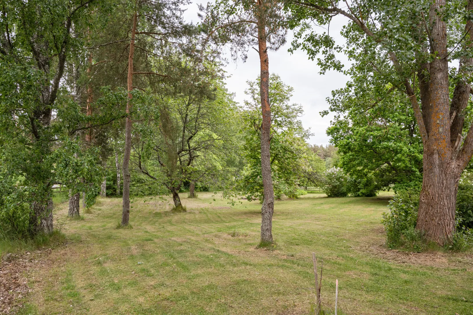 Gård/Skog, Gullestad gård, Vikbolandet, Norrköping
