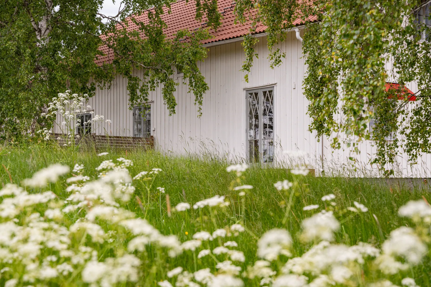 Gård/Skog, Gullestad gård, Vikbolandet, Norrköping