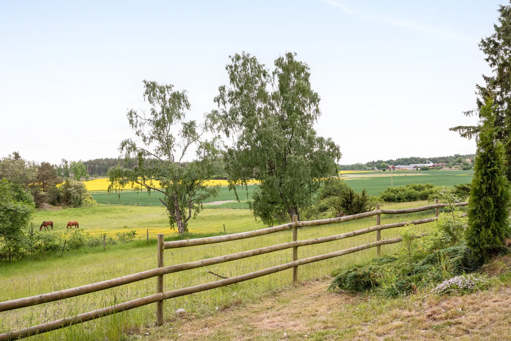 Gård/Skog, Gullestad gård, Vikbolandet, Norrköping