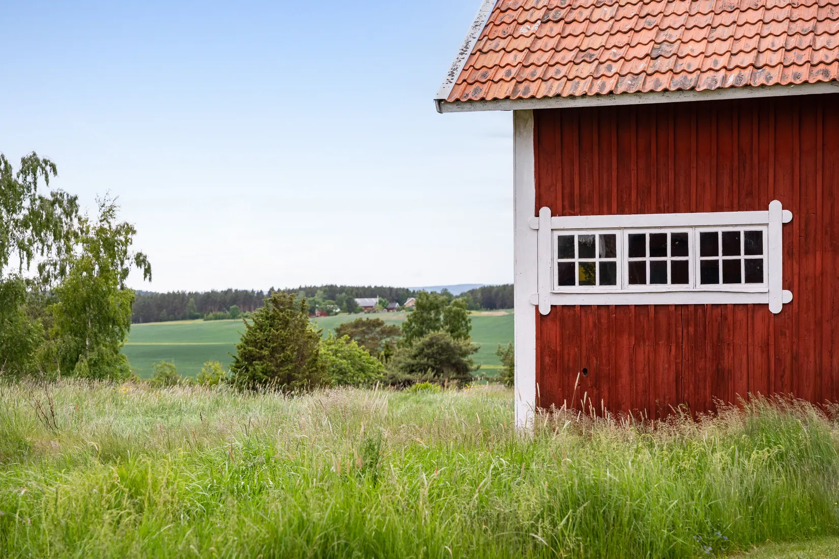 Gård/Skog, Gullestad gård, Vikbolandet, Norrköping