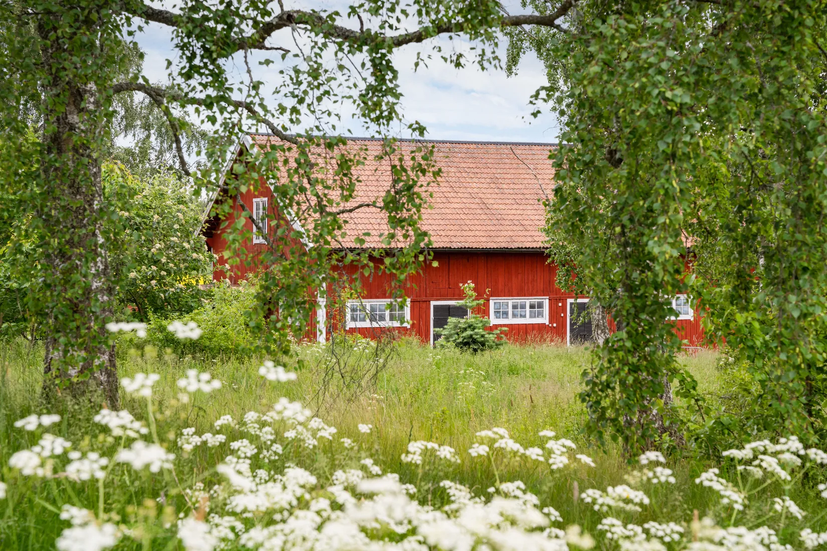 Gård/Skog, Gullestad gård, Vikbolandet, Norrköping