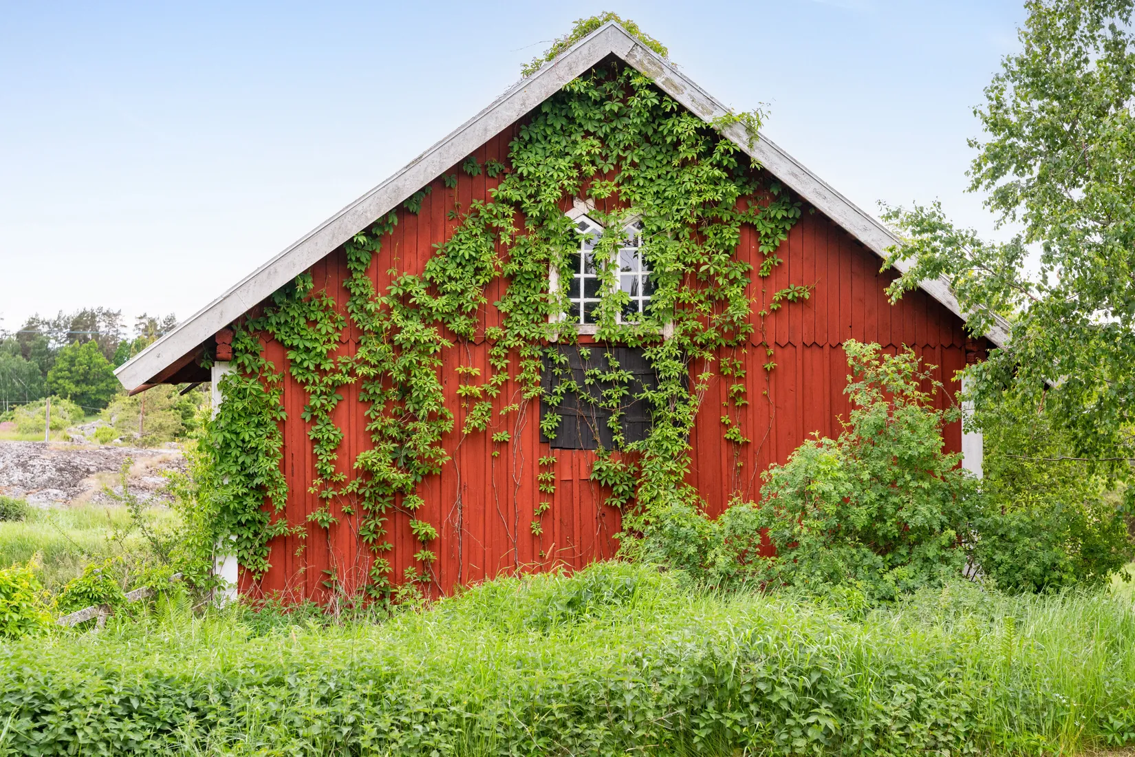 Gård/Skog, Gullestad gård, Vikbolandet, Norrköping