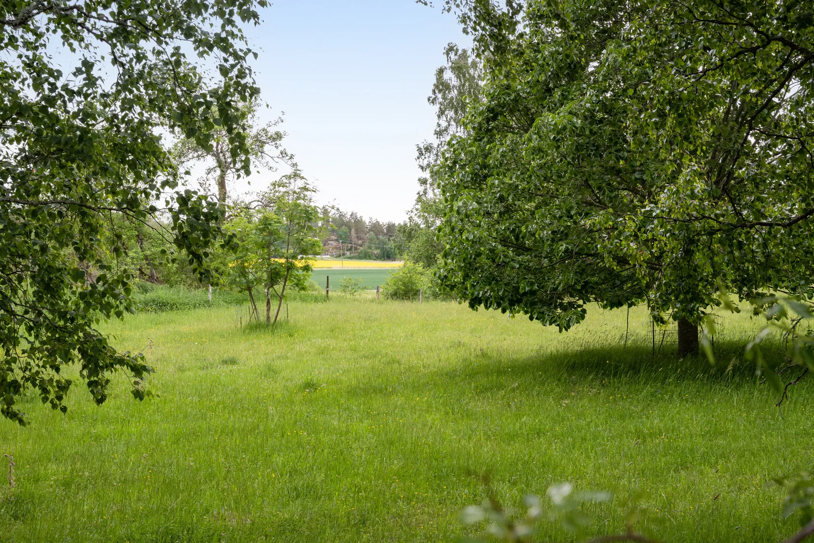 Gård/Skog, Gullestad gård, Vikbolandet, Norrköping