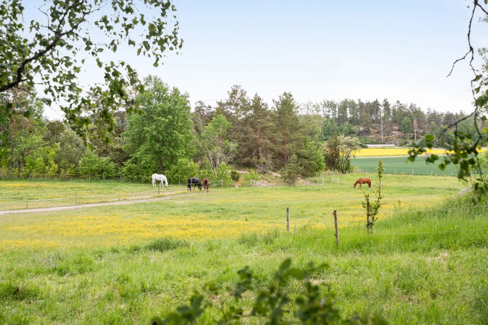 Gård/Skog, Gullestad gård, Vikbolandet, Norrköping