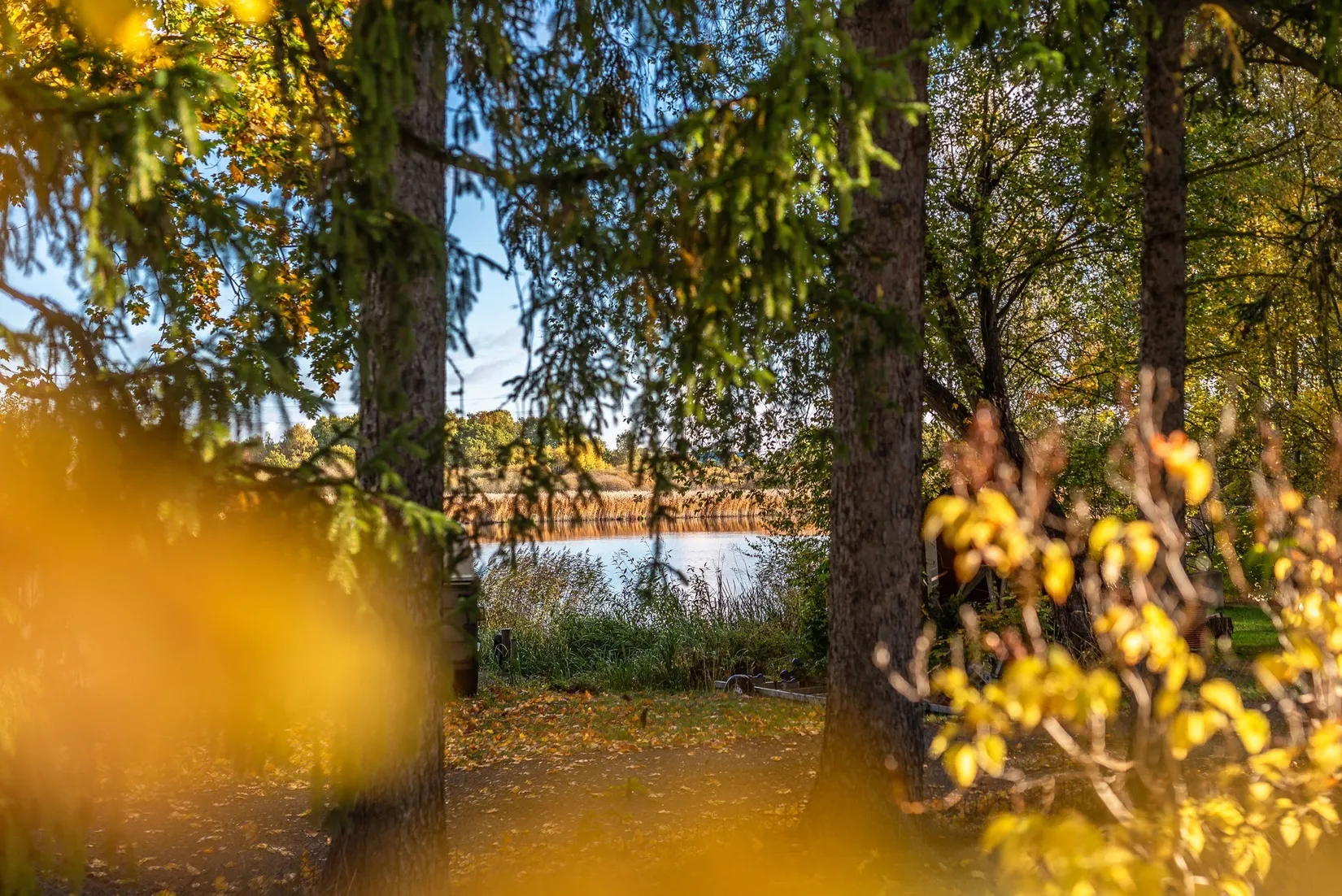 Villa, Almborgavägen 4, Strandhugget, Norrköping