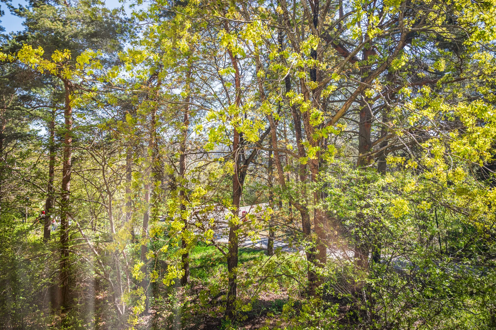 Bostadsrätt, Riksdalervägen 14, 1 TR, Hägerstensåsen/Telefonplan, Stockholm