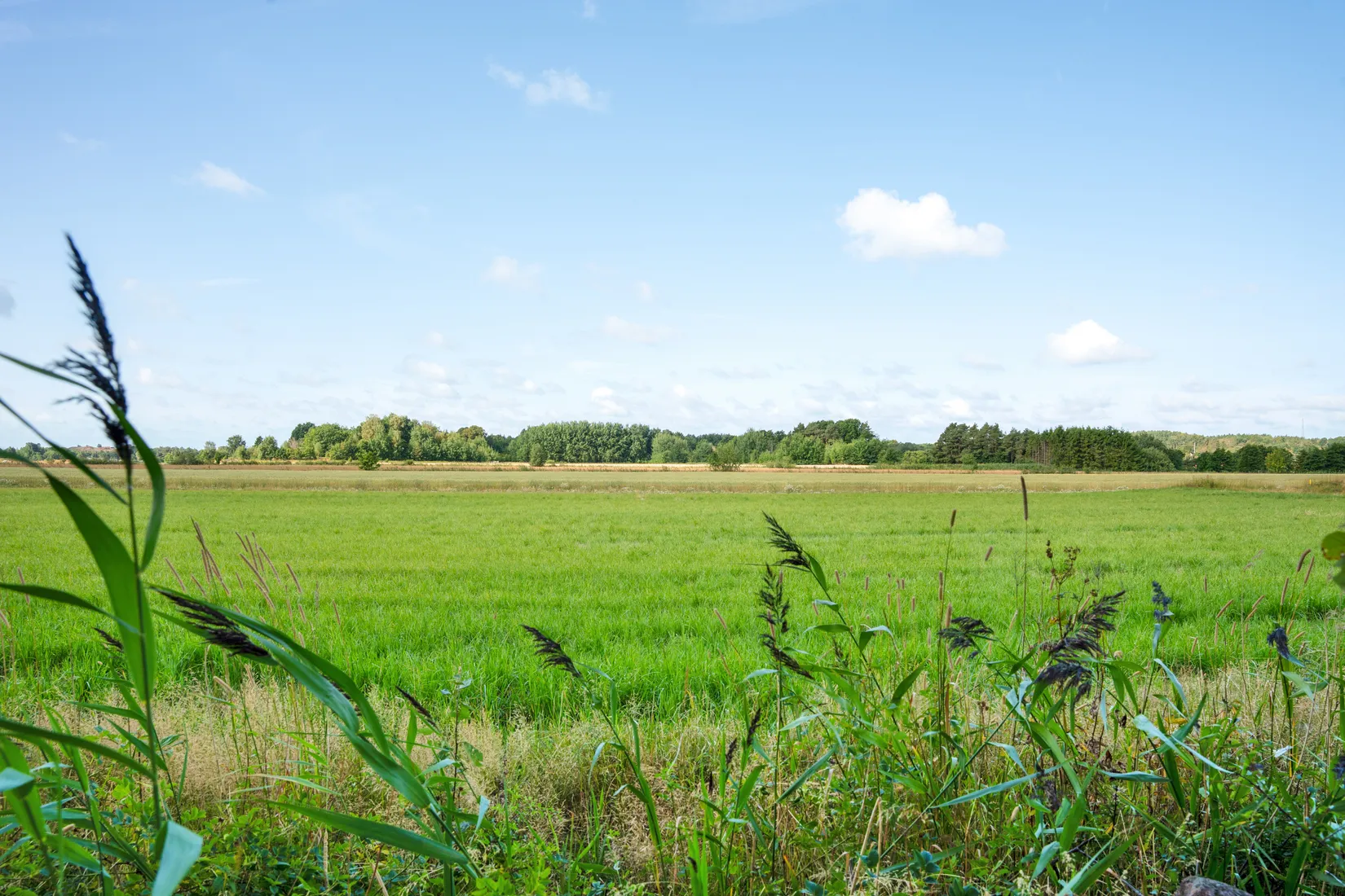 Tomt, Landbergavägen 23, Kungsbacka