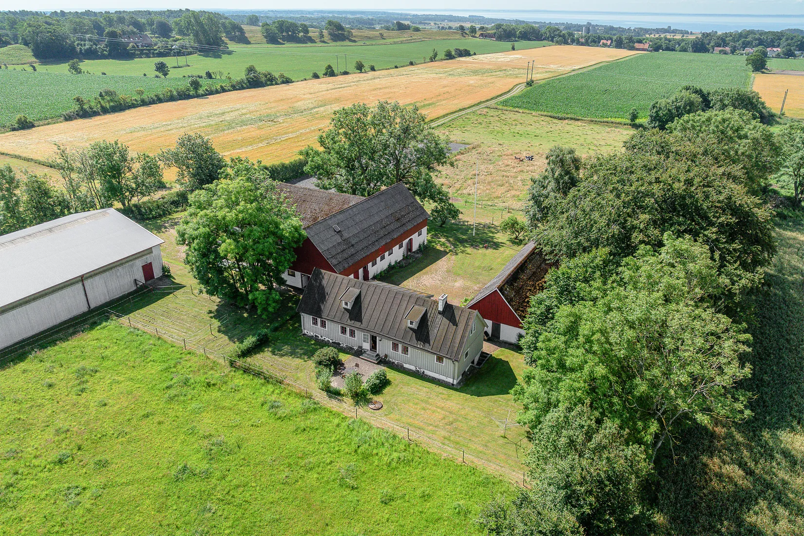 Gård/Skog, Killebäckstorpsvägen 184, Killebäckstorp, Båstad