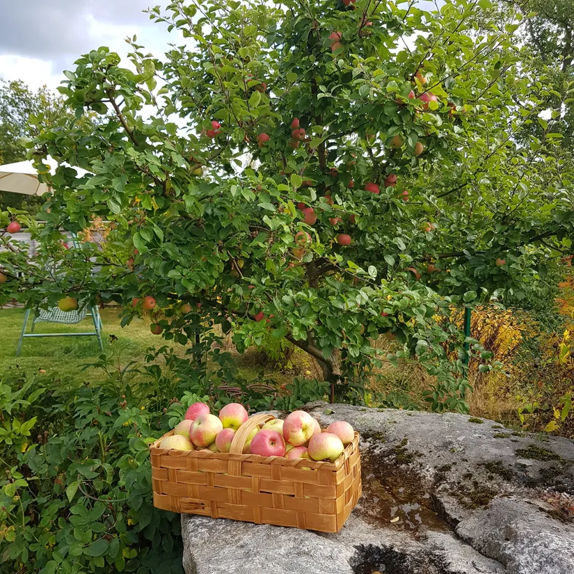 Villa, Bystavägen 2A, Värmdö - Mörtnäs, Värmdö