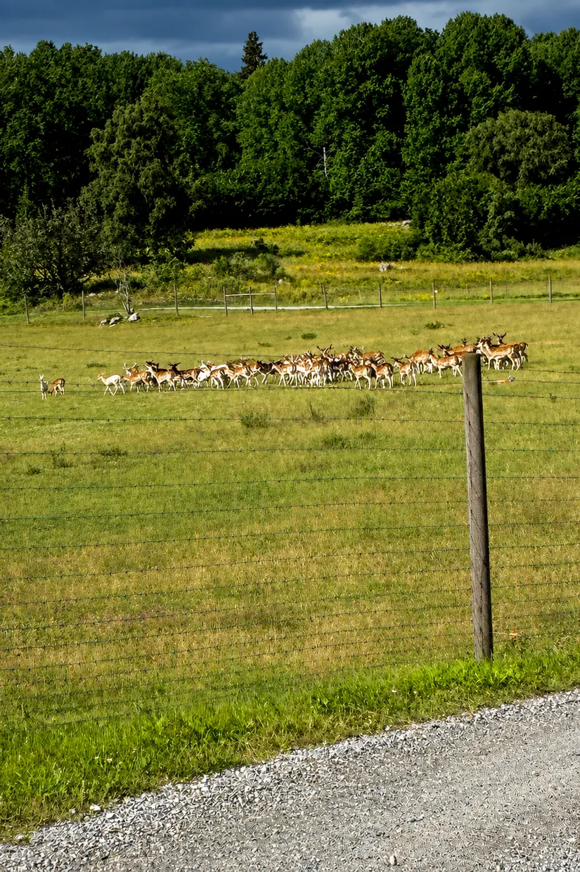 Fritidshus, Addarsnäs 26, Addarsnäs, Norrtälje