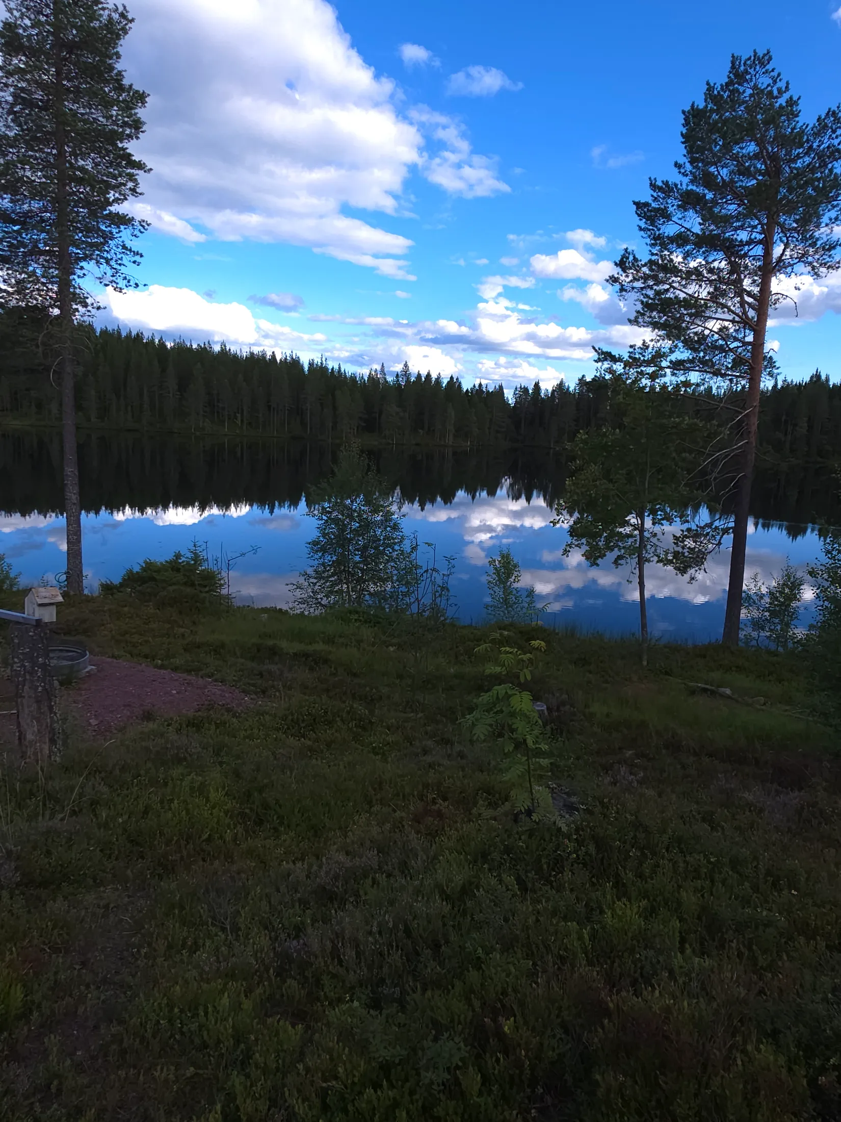 Fritidshus, Månsta 22:8, Älvdalen