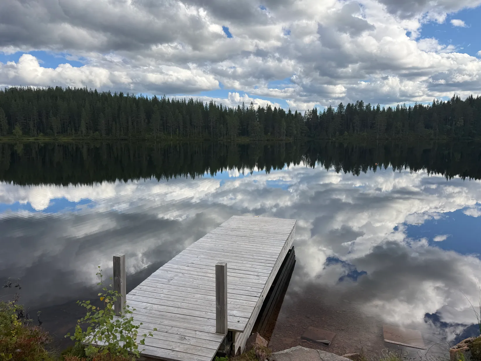 Fritidshus, Månsta 22:8, Älvdalen