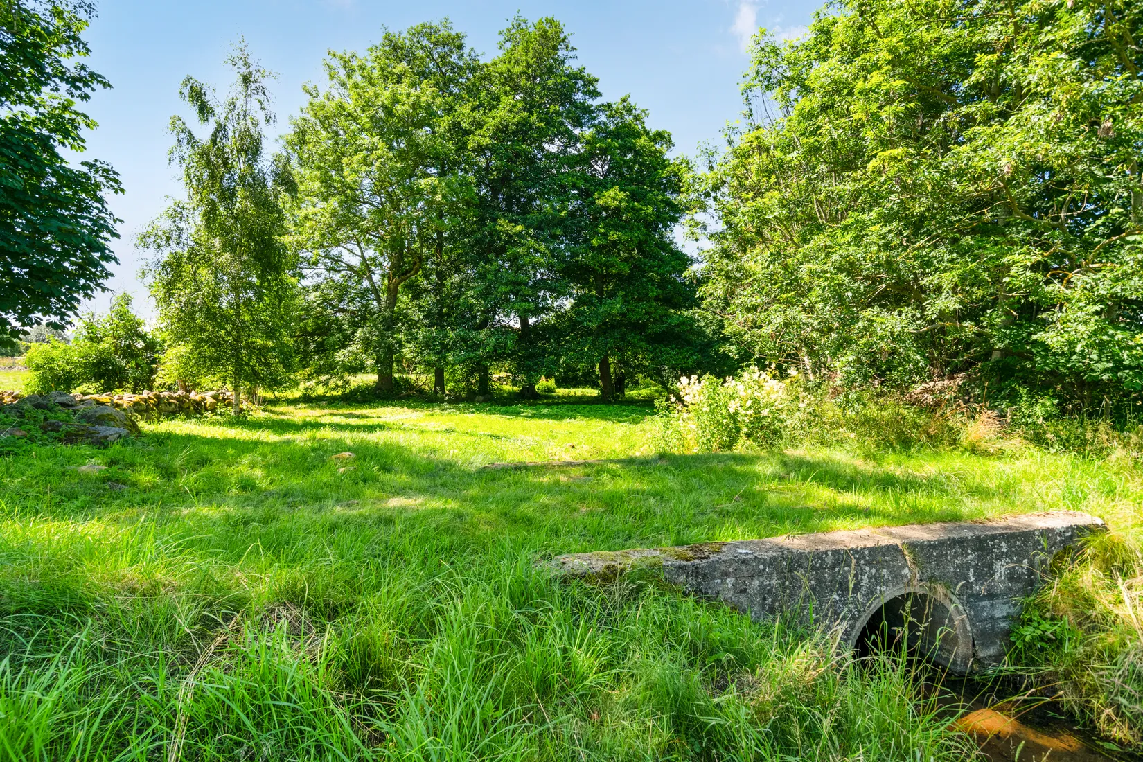 Gård/Skog, Vysteborgsvägen 112, Ängelsbäck, Båstad