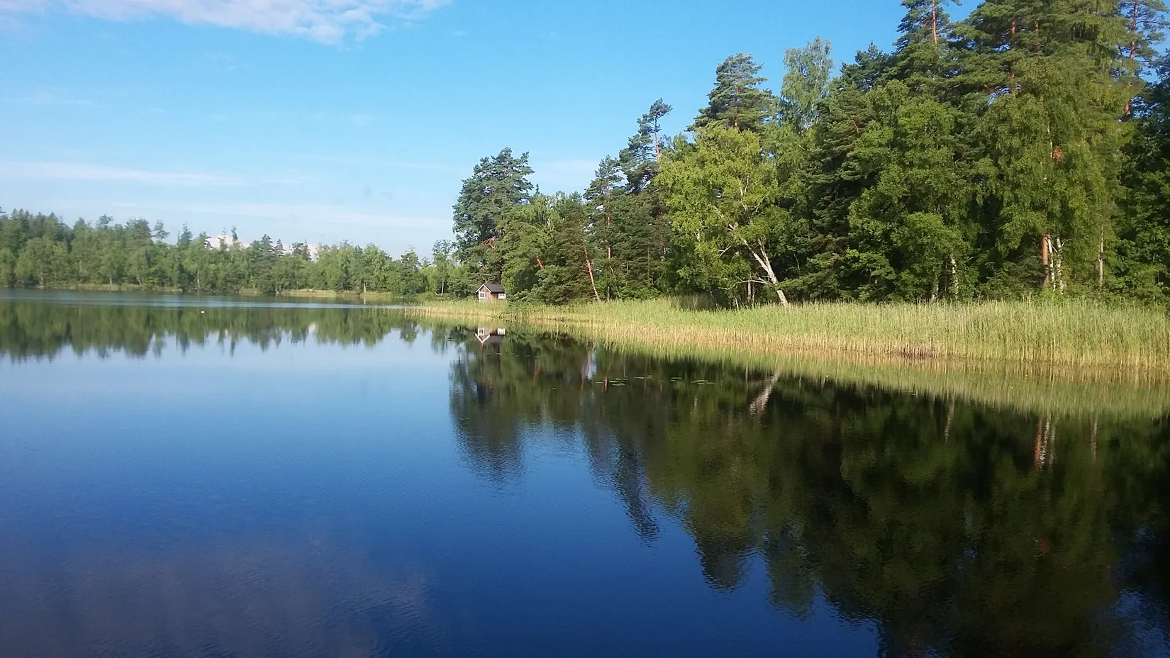 Villa, Kalvshult Västergård 26, Kalvshult, Älmhult
