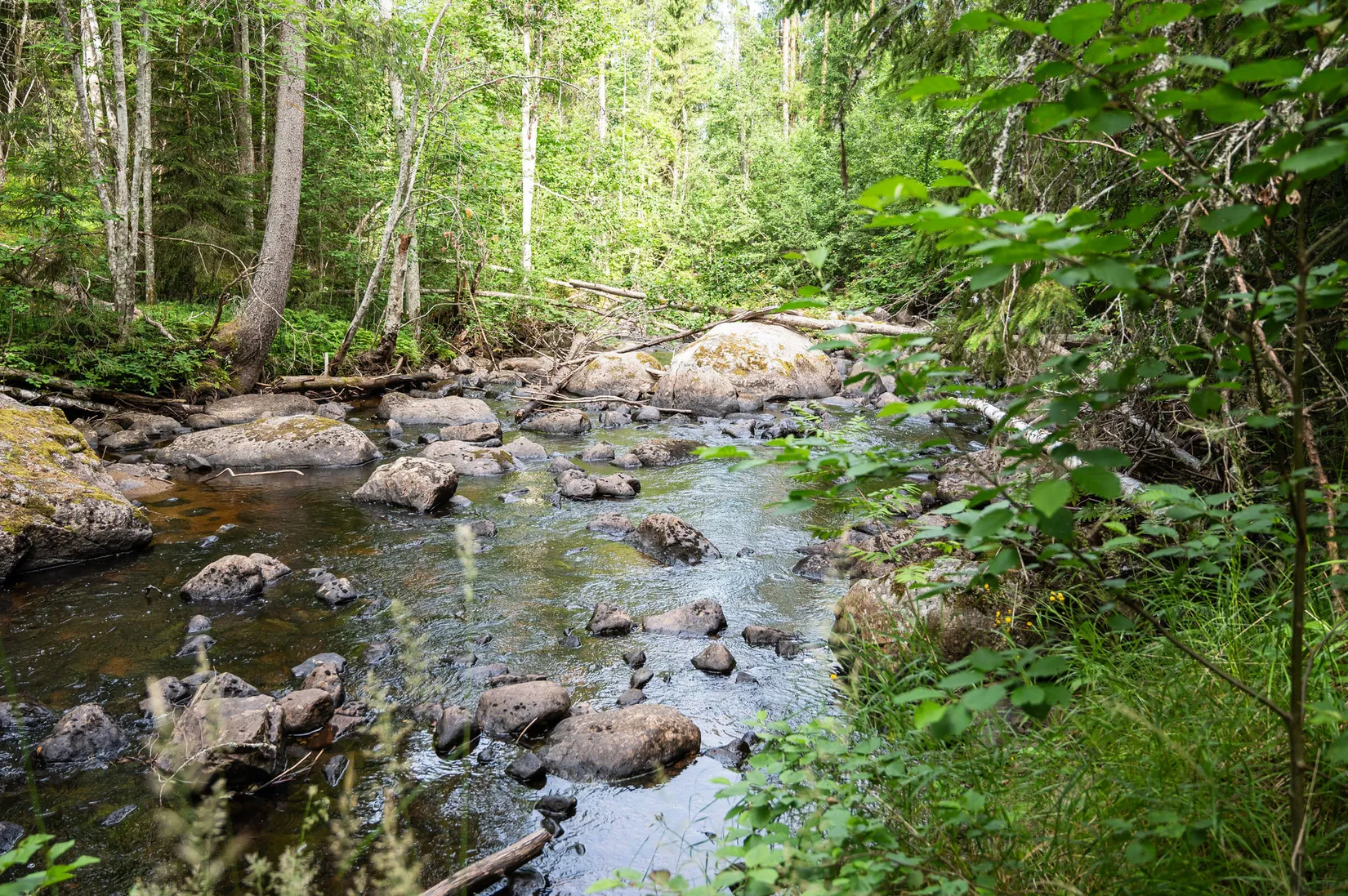 Gård/Skog, Södra Gullgård 418, Ånge
