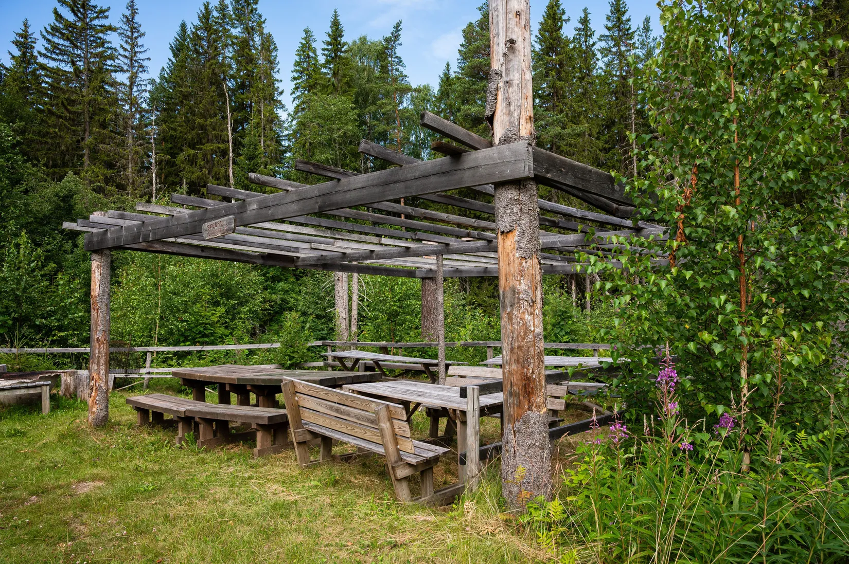 Gård/Skog, Södra Gullgård 418, Ånge