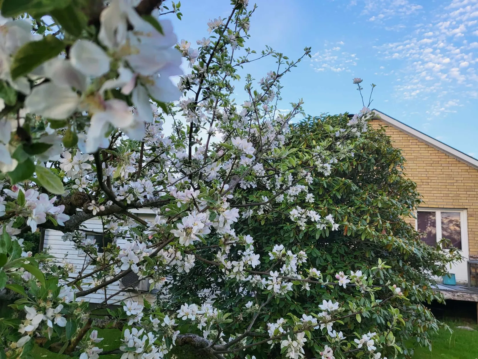 Radhus, Äppleknäppsvägen 13, Torsred, Trollhättan
