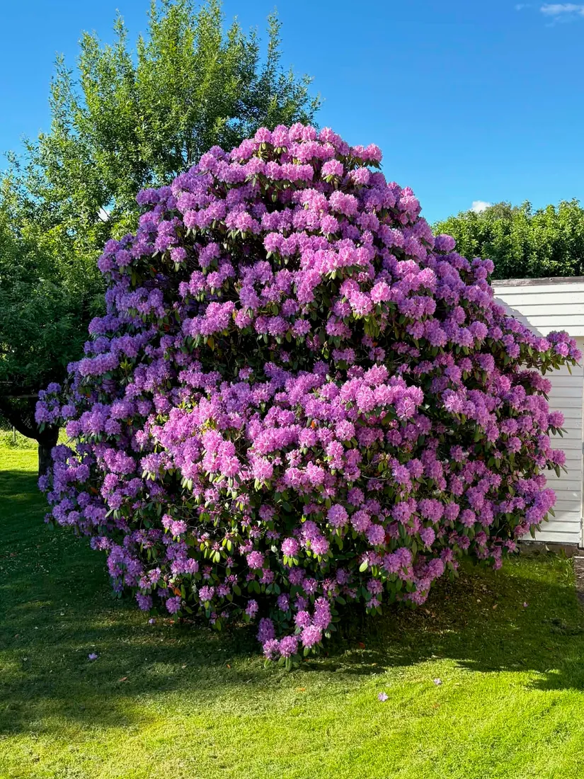 Radhus, Äppleknäppsvägen 13, Torsred, Trollhättan