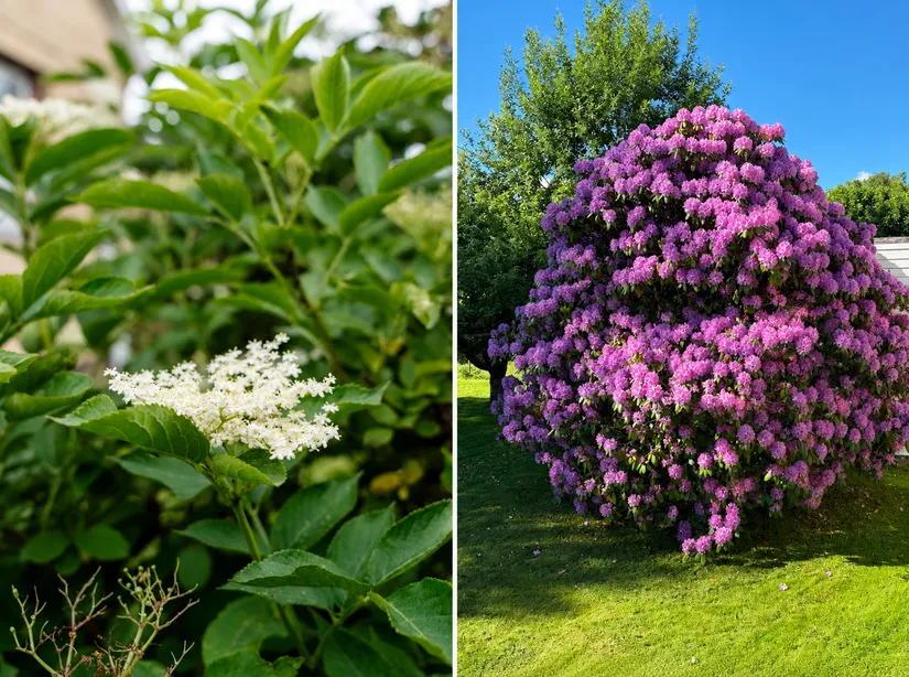 Villa, Äppleknäppsvägen 13, Torsred, Trollhättan