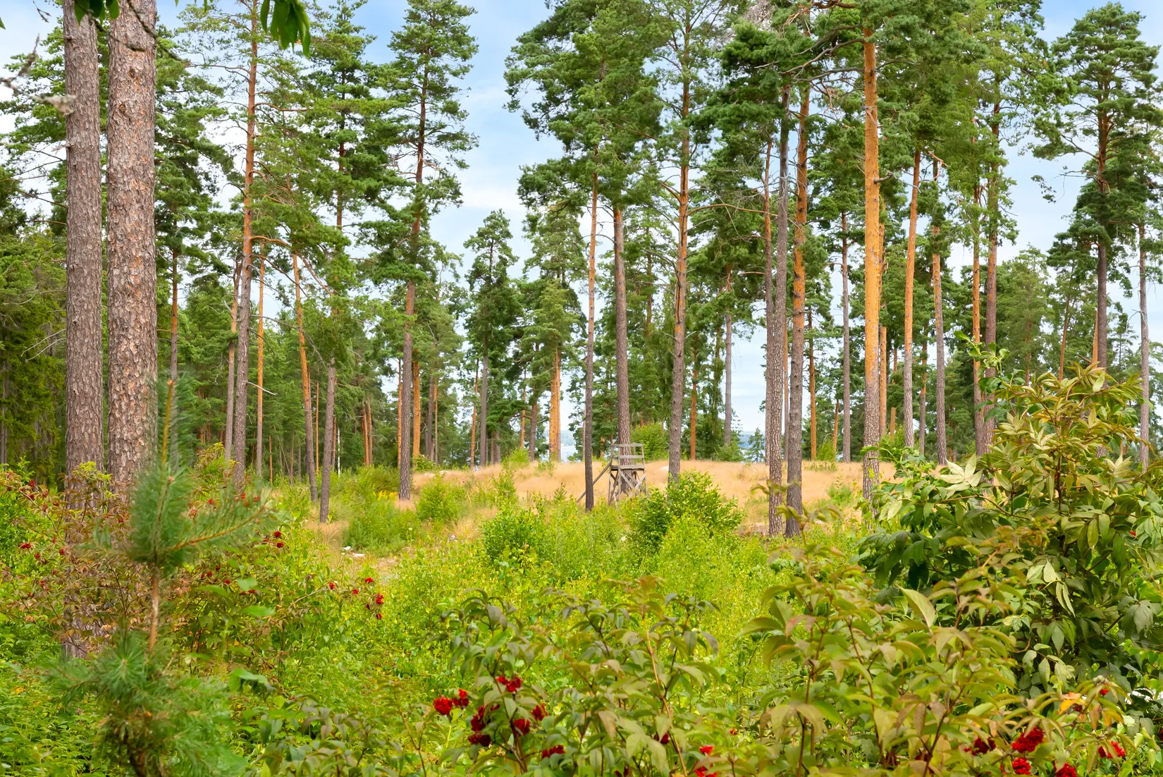 Fritidshus, Nabbvägen 30, Slätviken, Eskilstuna