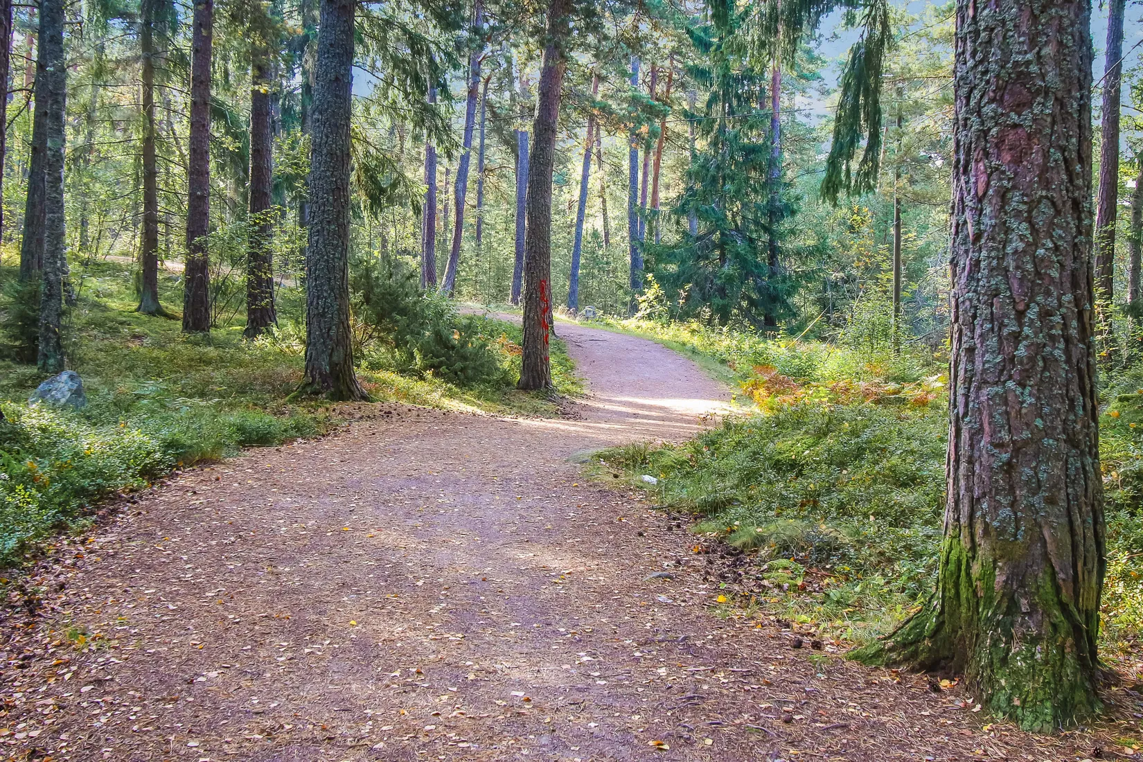 Radhus, Galoppgatan 81, Smedby, Upplands Väsby