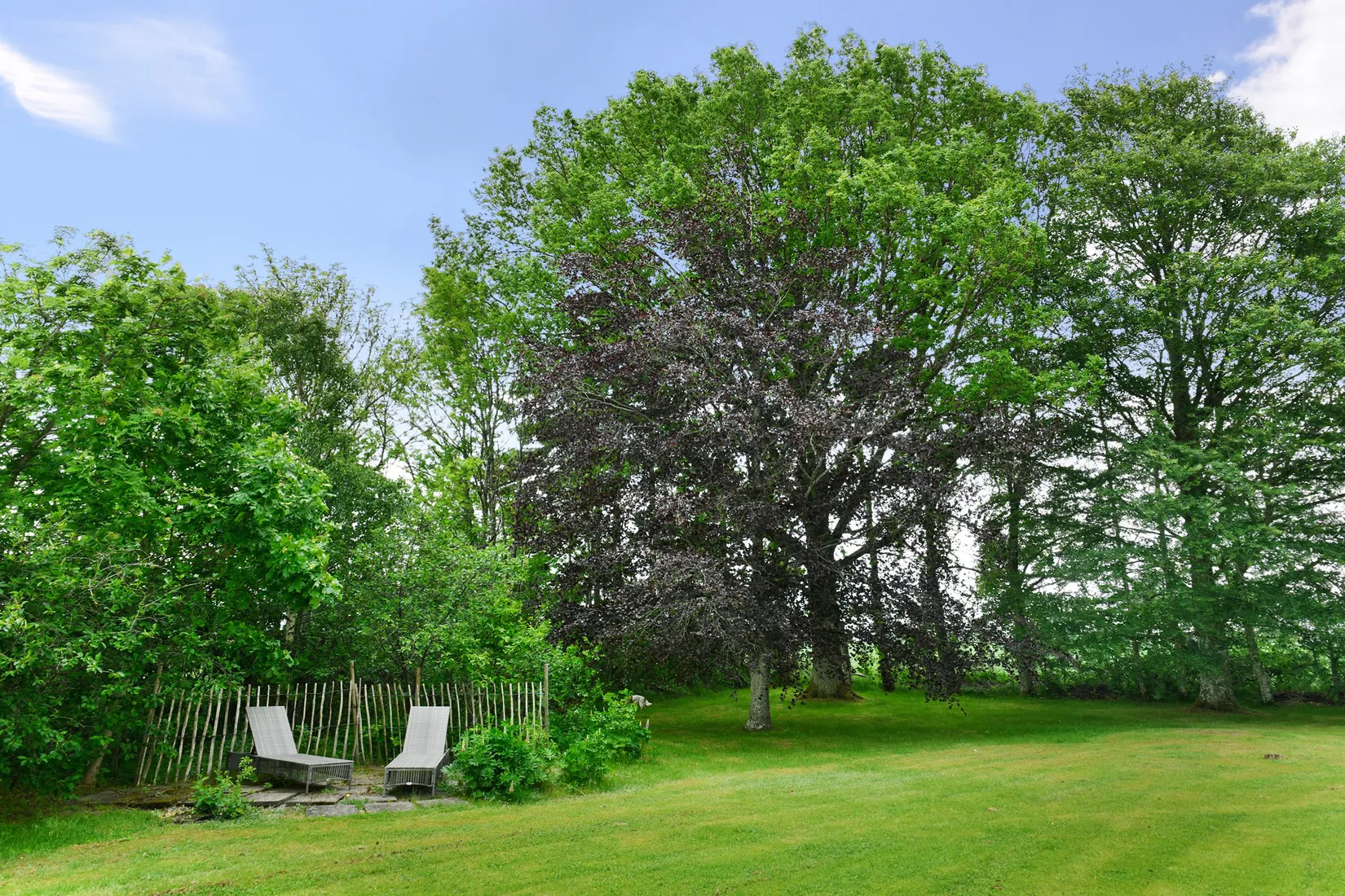 Villa, Vara Tråvadsgården 1, Vara