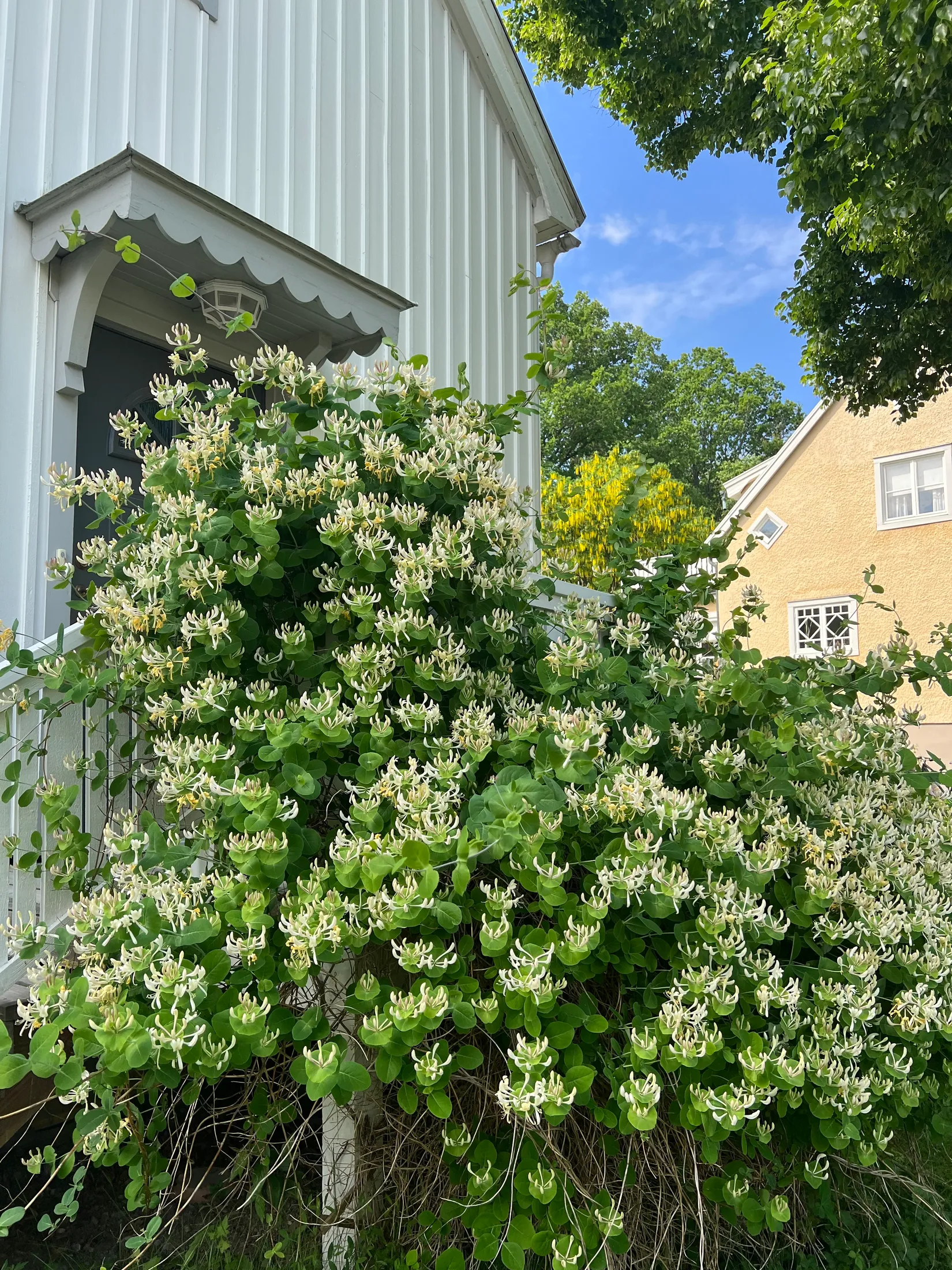 Villa, Stockholmsvägen 90, Gamla Enskede, Stockholm