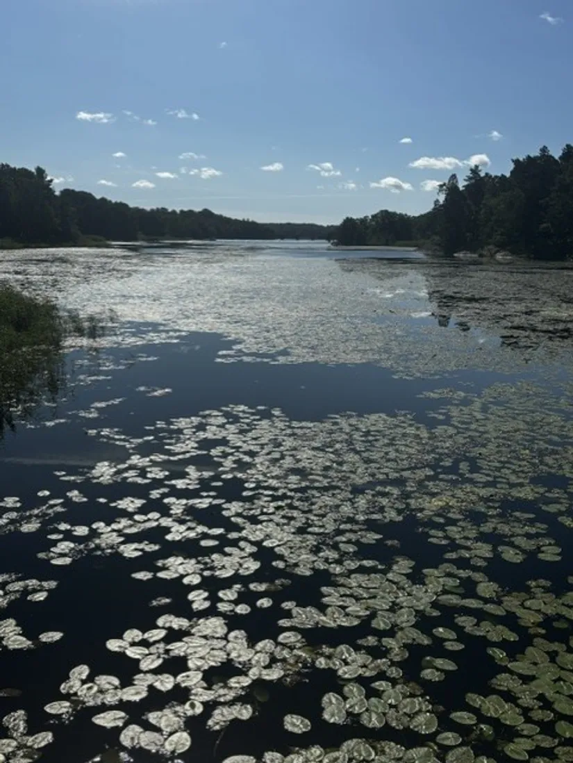 Radhus, Nyskogavägen 4, Stortorp, Stockholm