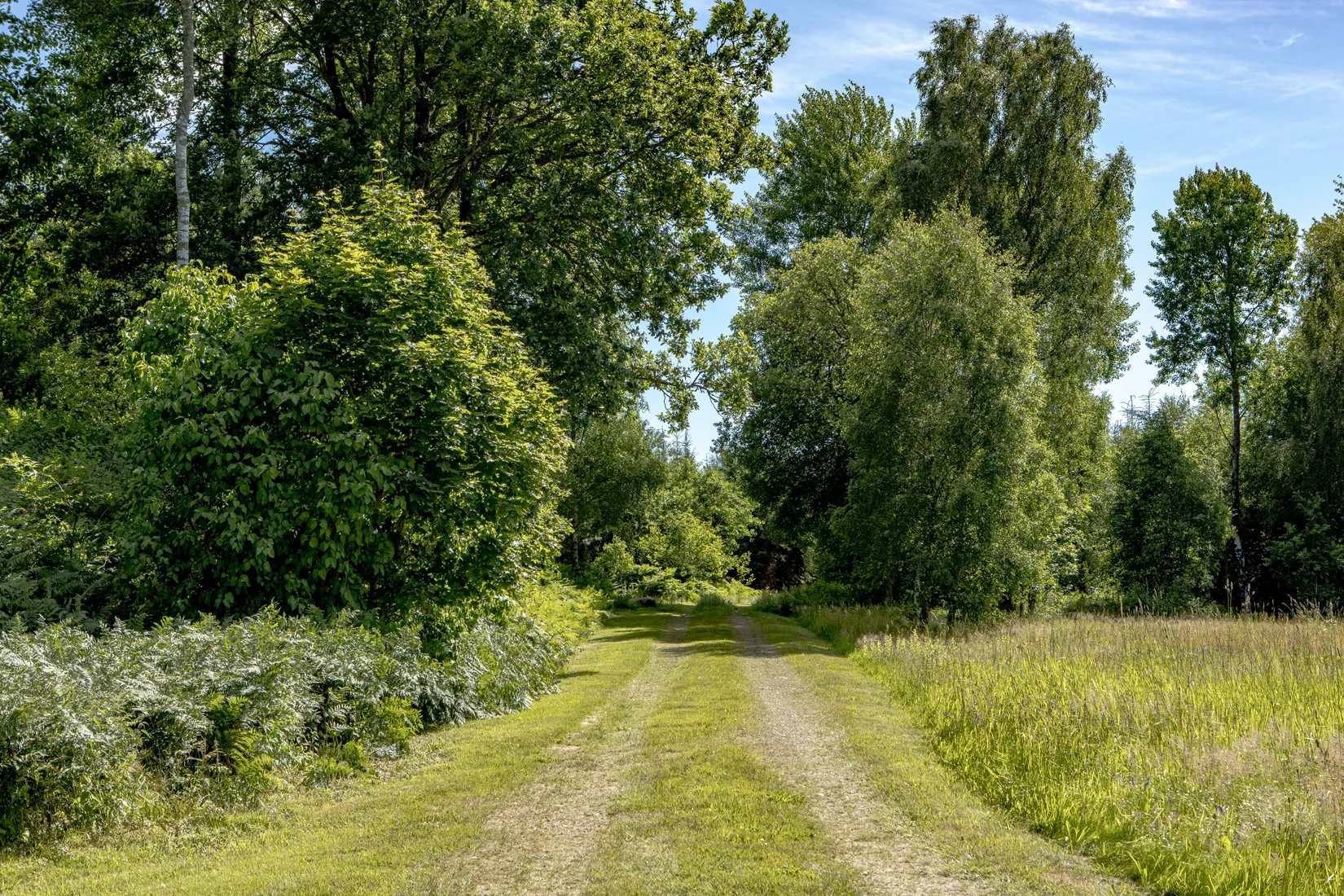 Villa, Särestad Norakull 215, Asige, Falkenberg