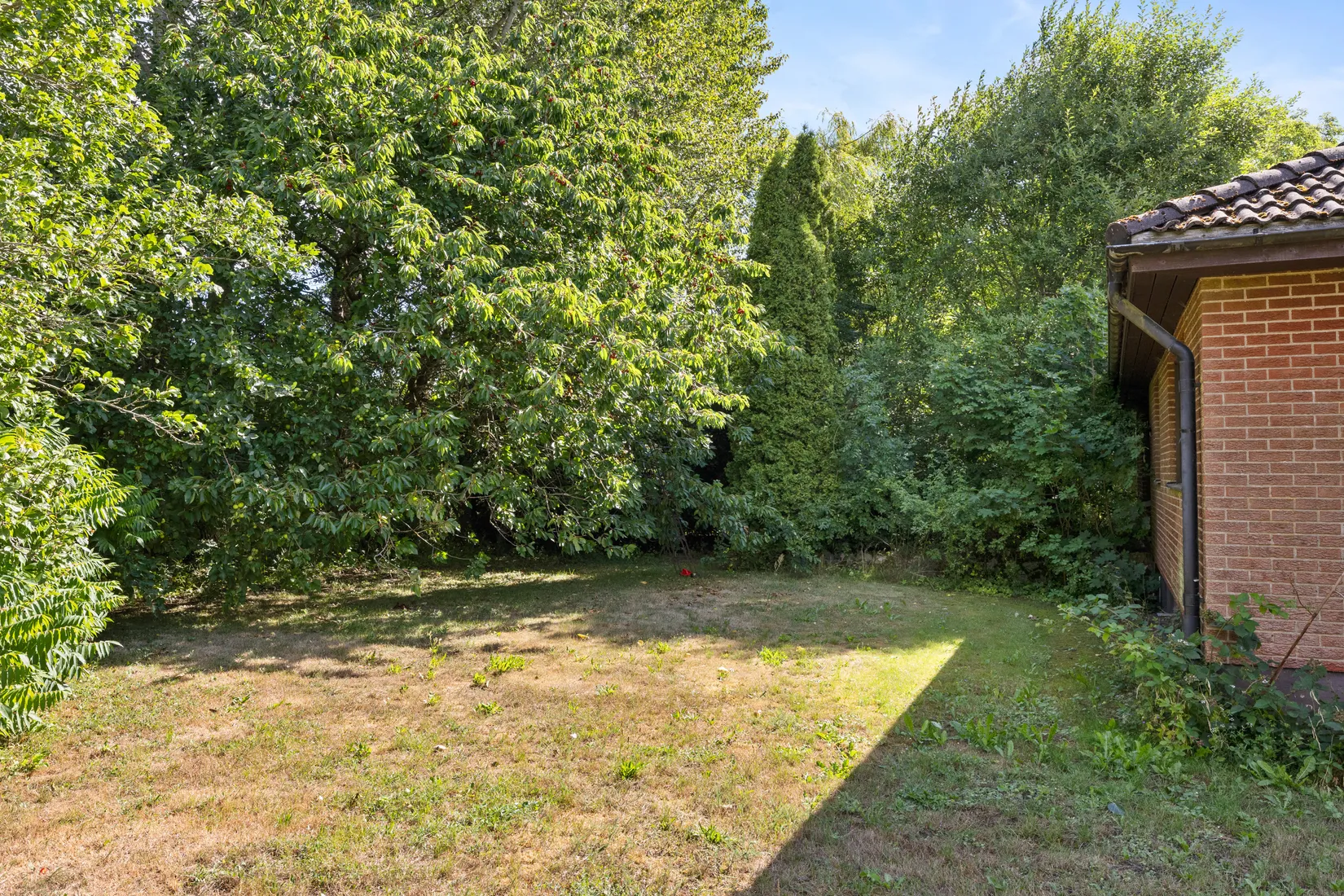 Gård/Skog, Smedstorp 3601, Smedstorp, Tomelilla