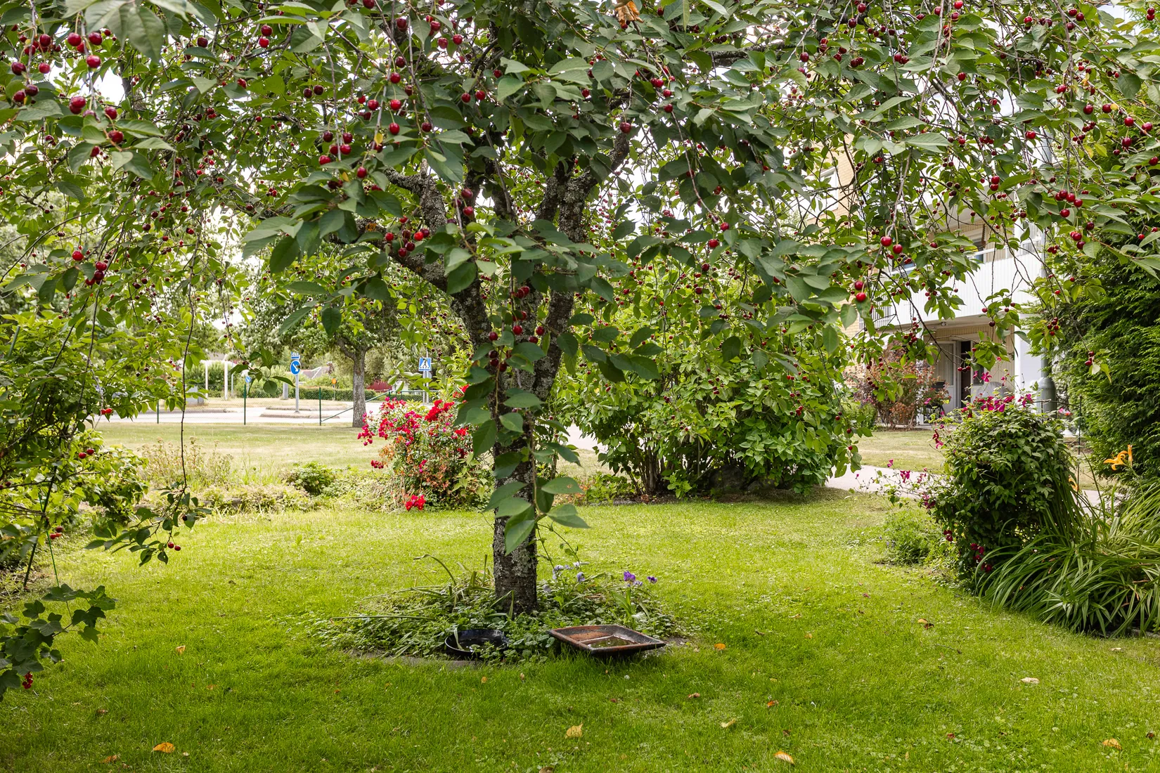 Radhus, Näckrosvägen 7, Norra Gryta, Västerås