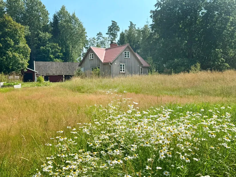 Gård/Skog, Kärringe Trädestorp 1, Småland, Ljungby