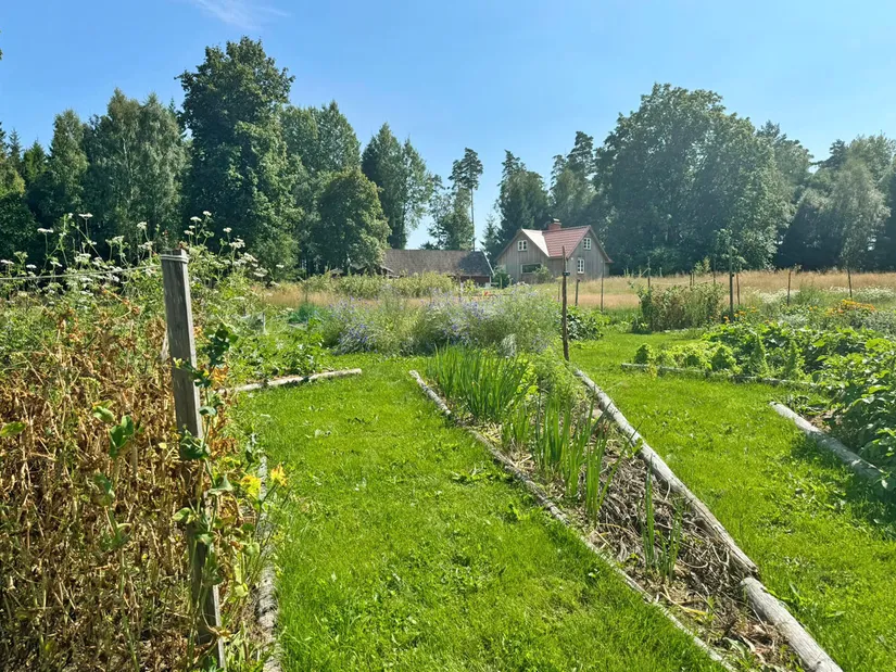Gård/Skog, Kärringe Trädestorp 1, Småland, Ljungby