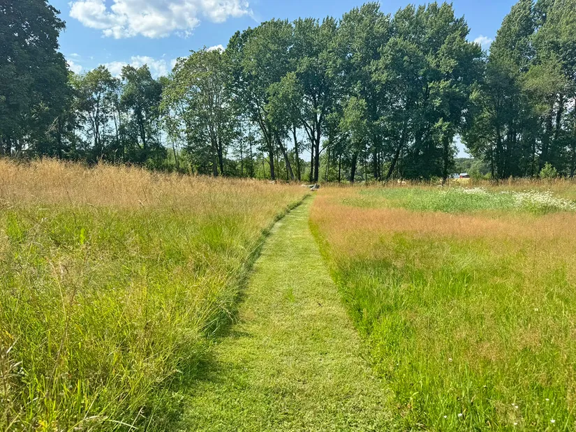 Gård/Skog, Kärringe Trädestorp 1, Småland, Ljungby