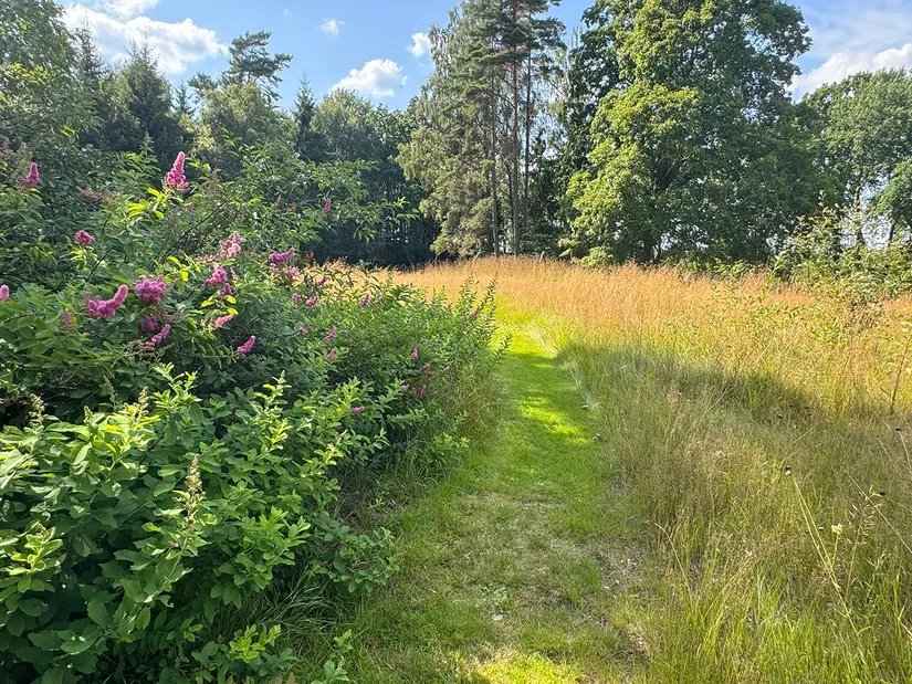 Gård/Skog, Kärringe Trädestorp 1, Småland, Ljungby