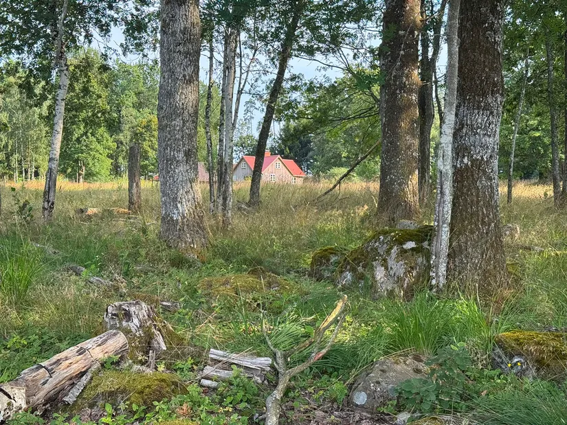Gård/Skog, Kärringe Trädestorp 1, Småland, Ljungby