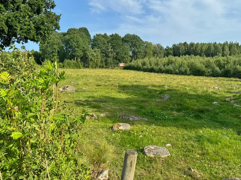 Gård/Skog, Kärringe Trädestorp 1, Småland, Ljungby