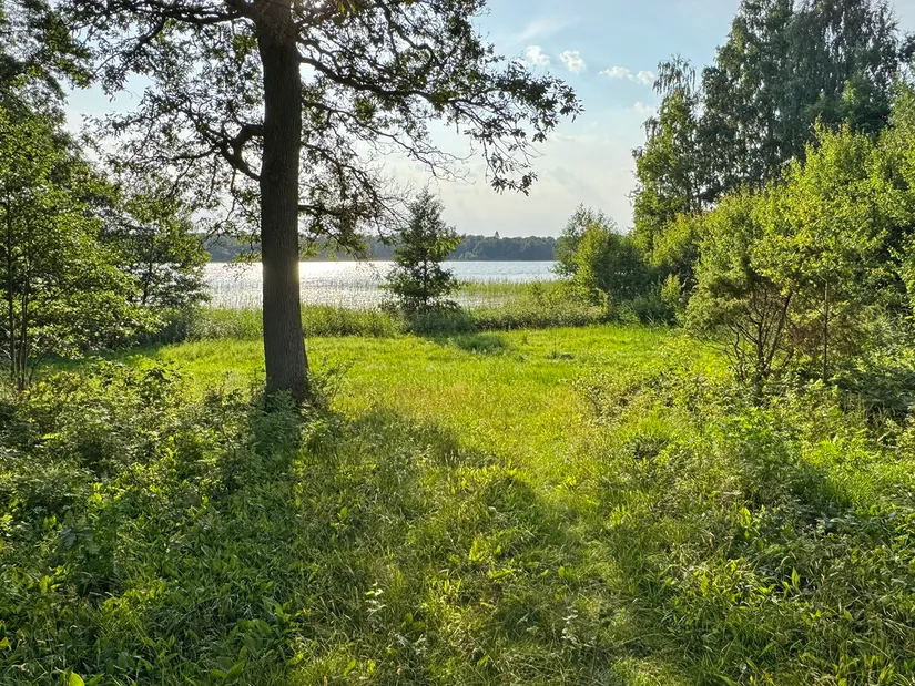 Gård/Skog, Kärringe Trädestorp 1, Småland, Ljungby