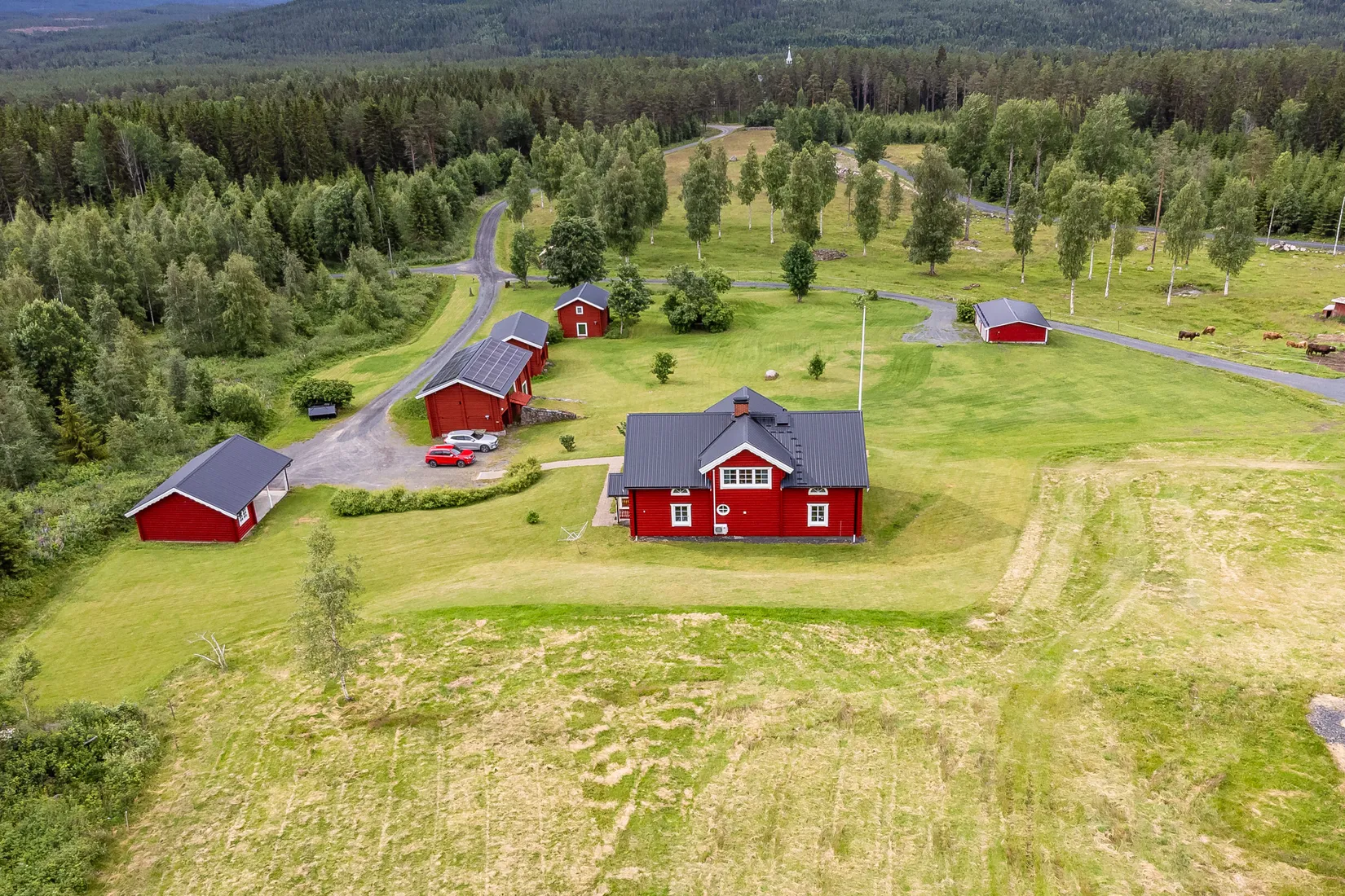 Gård/Skog, Djäknelidens väg 1, Finnskogen, Torsby