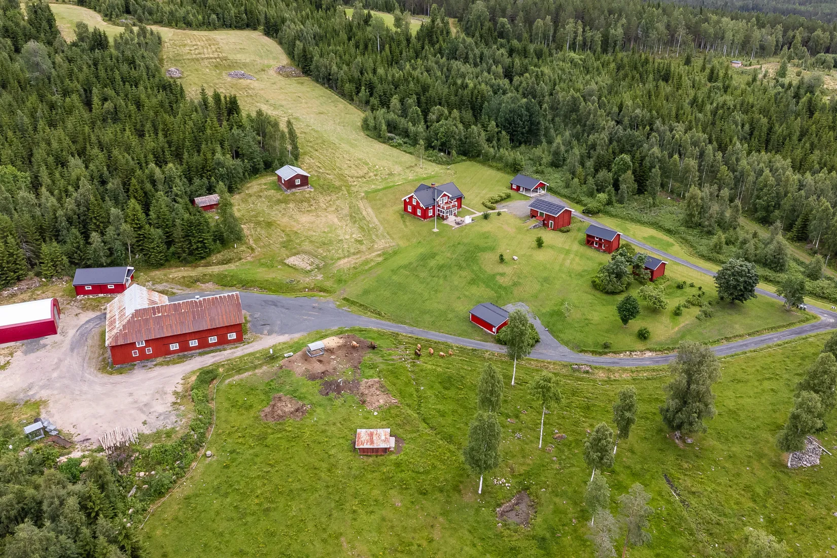 Gård/Skog, Djäknelidens väg 1, Finnskogen, Torsby