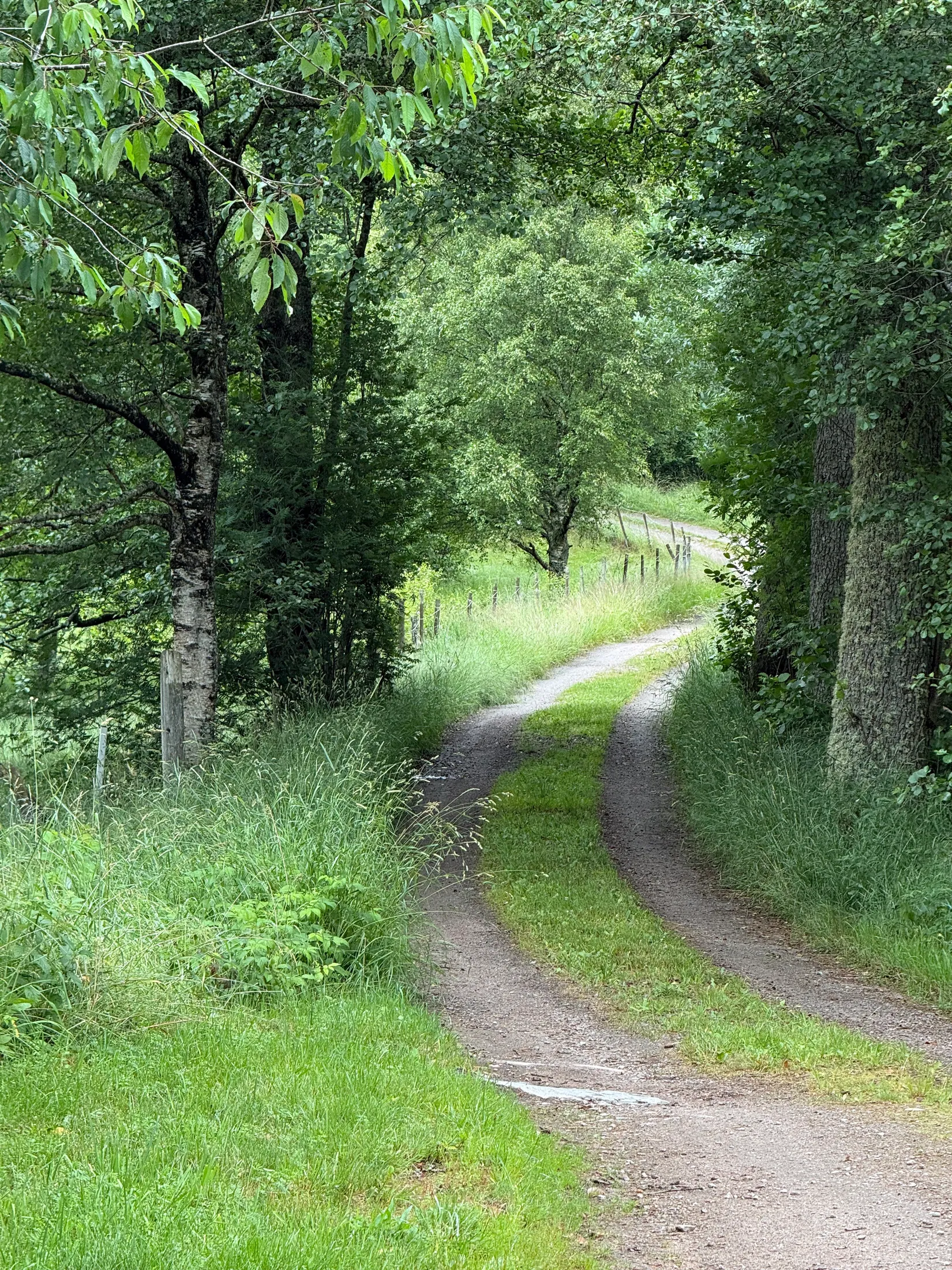 Gård/Skog, Ön Sörgården 1, Vårgårda