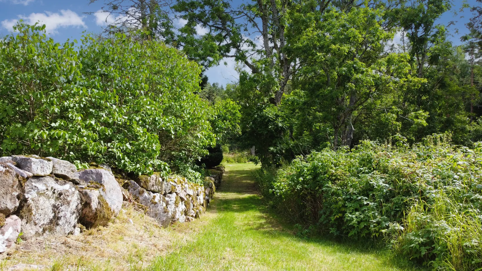 Gård/Skog, Ön Sörgården 1, Vårgårda