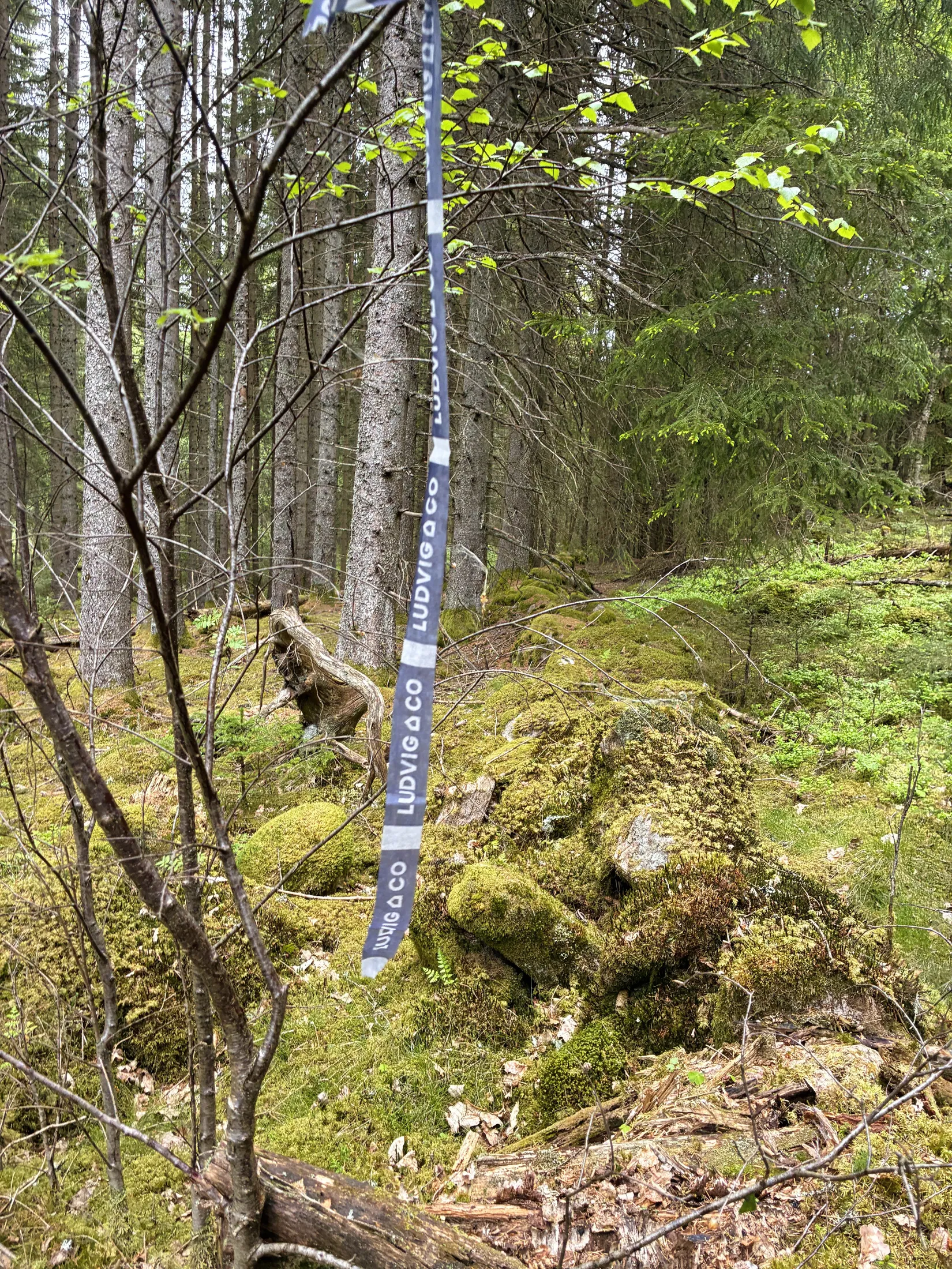 Gård/Skog, Ön Sörgården 1, Vårgårda
