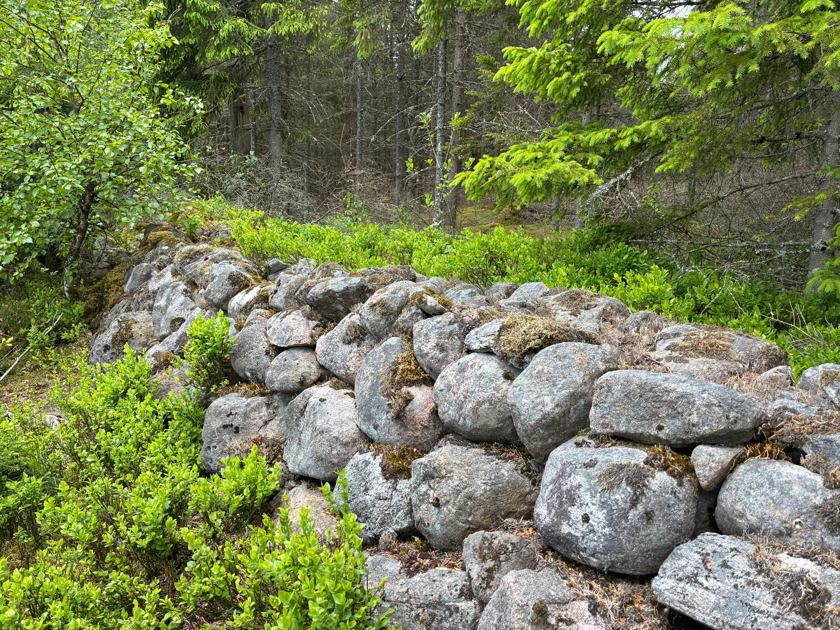 Gård/Skog, Ön Sörgården 1, Vårgårda