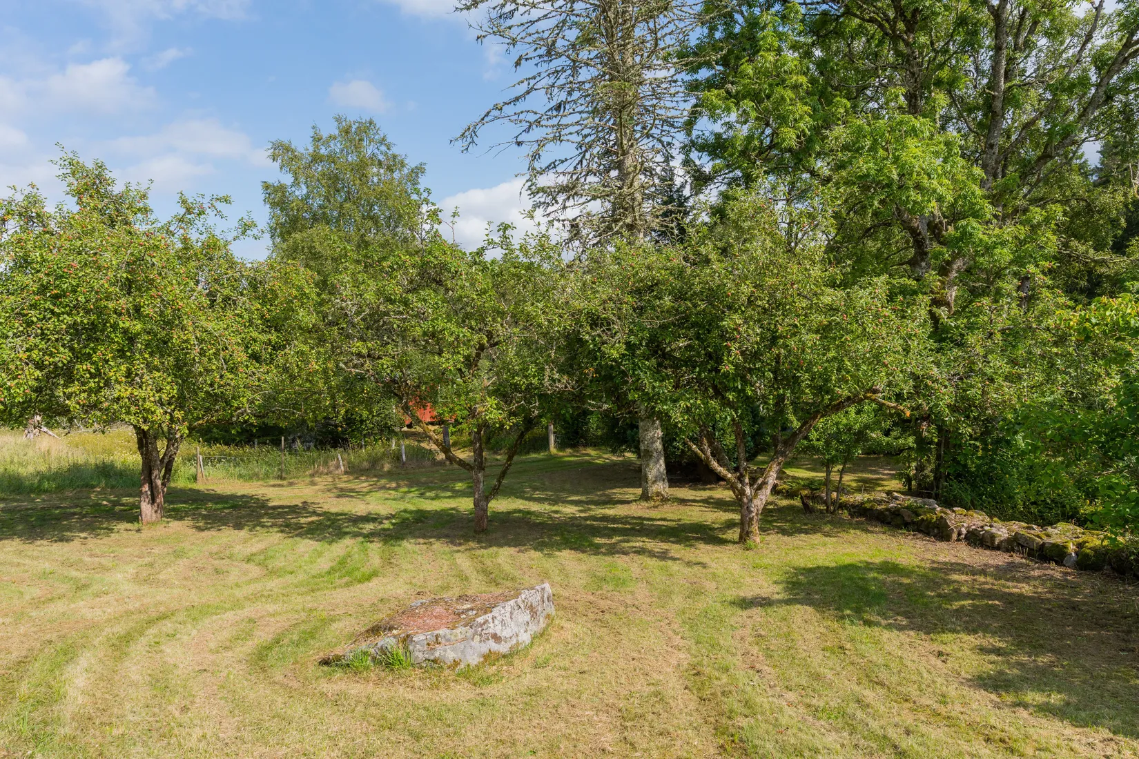 Gård/Skog, Ön Sörgården 1, Vårgårda